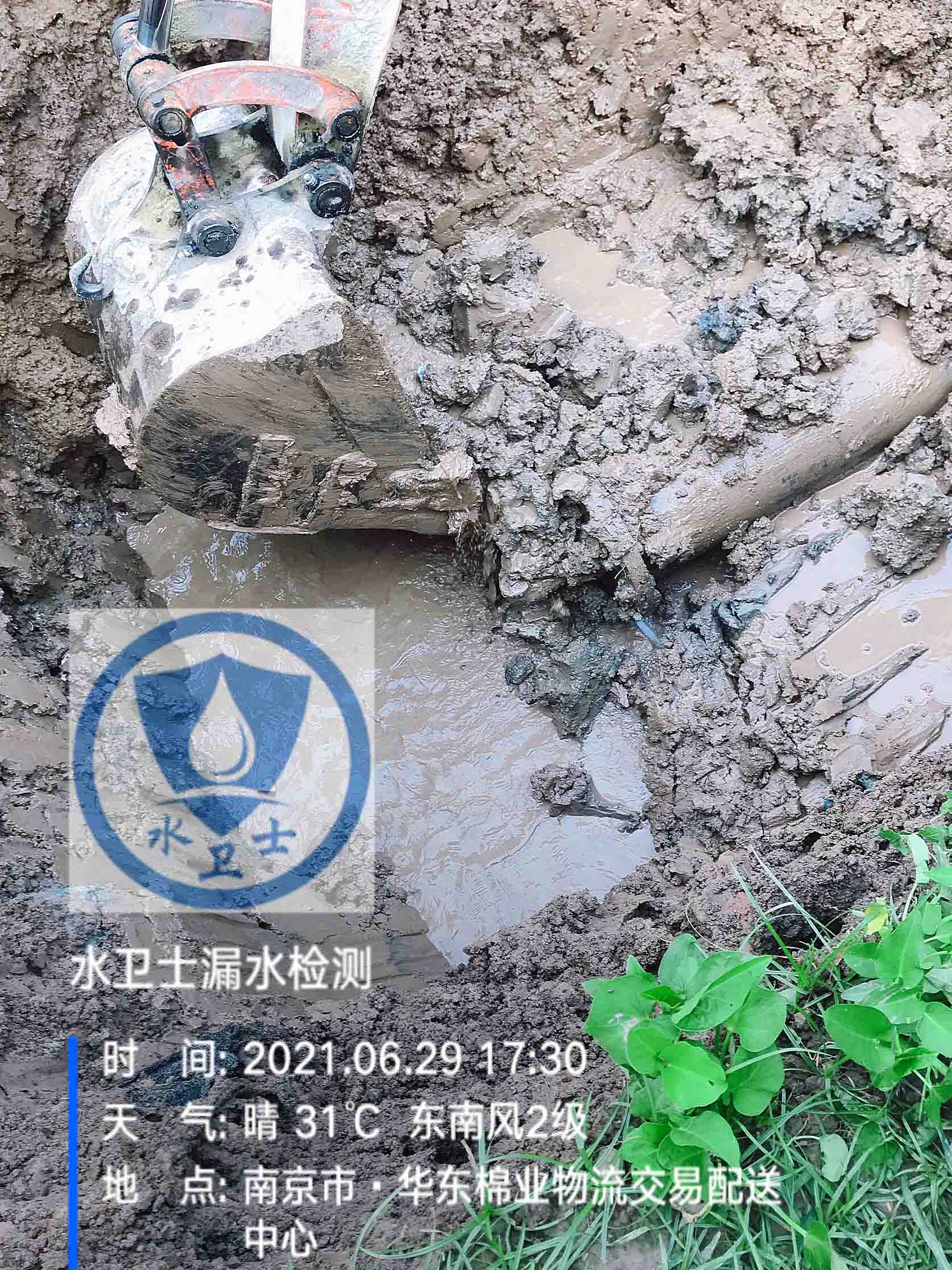 【外網(wǎng)測(cè)漏】南京棉業(yè)物流配送中心